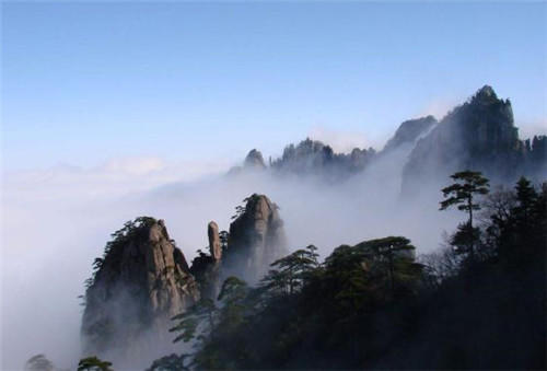 中國靈芝十大品牌|仙客來靈芝|仙客來靈芝破壁孢子粉|仙客來孢子油|仙客來靈芝飲片|仙客來破壁孢子粉|仙客來靈芝中藥飲片|馳名商標|tianyabagua.cn| 中國靈芝十大品牌|仙客來靈芝|仙客來靈芝破壁孢子粉|仙客來孢子油|仙客來靈芝飲片|仙客來破壁孢子粉|仙客來靈芝中藥飲片|馳名商標|tianyabagua.cn|