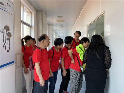 杭州亞運(yùn)會(huì)官方靈芝產(chǎn)品供應(yīng)商|杭州亞運(yùn)會(huì)官方供應(yīng)商|中國(guó)靈芝十大品牌|仙客來(lái)靈芝|仙客來(lái)靈芝破壁孢子粉|仙客來(lái)孢子油|仙客來(lái)靈芝飲片|仙客來(lái)破壁孢子粉|靈芝孢子油|孢子粉|靈芝破壁孢子粉|靈芝|中華老字號(hào)