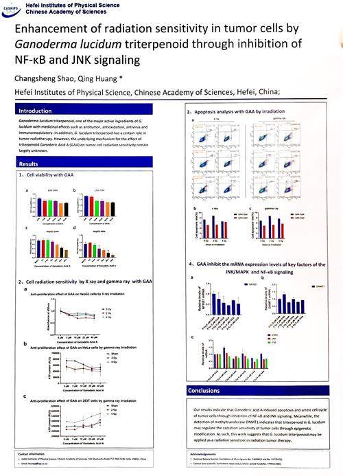 中國(guó)靈芝十大品牌|仙客來靈芝|仙客來靈芝破壁孢子粉|仙客來孢子油|仙客來靈芝飲片|仙客來破壁孢子粉|仙客來靈芝中藥飲片|馳名商標(biāo)|tianyabagua.cn|