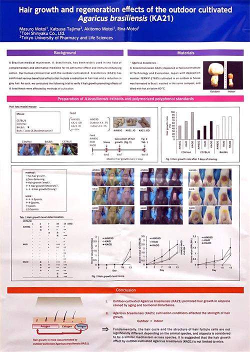 中國(guó)靈芝十大品牌|仙客來靈芝|仙客來靈芝破壁孢子粉|仙客來孢子油|仙客來靈芝飲片|仙客來破壁孢子粉|仙客來靈芝中藥飲片|馳名商標(biāo)|tianyabagua.cn|