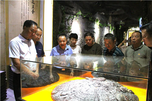 中國靈芝十大品牌|仙客來靈芝|仙客來靈芝破壁孢子粉|仙客來孢子油|仙客來靈芝飲片|仙客來破壁孢子粉|仙客來靈芝中藥飲片|馳名商標|tianyabagua.cn|