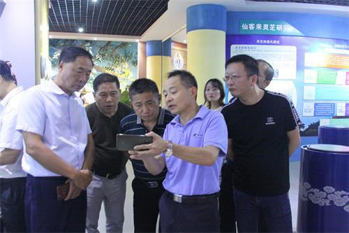 中國靈芝十大品牌|仙客來靈芝|仙客來靈芝破壁孢子粉|仙客來孢子油|仙客來靈芝飲片|仙客來破壁孢子粉|仙客來靈芝中藥飲片|馳名商標|tianyabagua.cn|