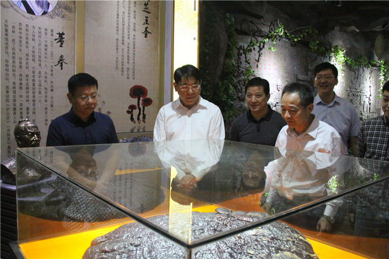 中國(guó)靈芝十大品牌|仙客來(lái)靈芝|仙客來(lái)靈芝破壁孢子粉|仙客來(lái)孢子油|仙客來(lái)靈芝飲片|仙客來(lái)破壁孢子粉|仙客來(lái)靈芝中藥飲片|馳名商標(biāo)|tianyabagua.cn|