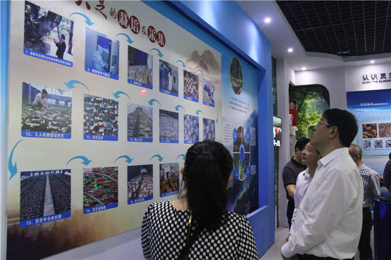 中國(guó)靈芝十大品牌|仙客來(lái)靈芝|仙客來(lái)靈芝破壁孢子粉|仙客來(lái)孢子油|仙客來(lái)靈芝飲片|仙客來(lái)破壁孢子粉|仙客來(lái)靈芝中藥飲片|馳名商標(biāo)|tianyabagua.cn|