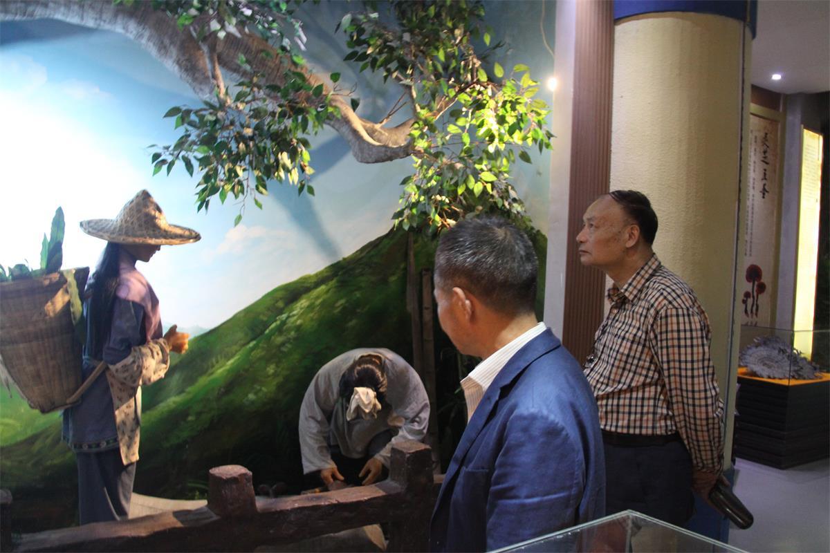 中國靈芝十大品牌|仙客來靈芝|仙客來靈芝破壁孢子粉|仙客來孢子油|仙客來靈芝飲片|仙客來破壁孢子粉|仙客來靈芝中藥飲片|馳名商標|tianyabagua.cn|