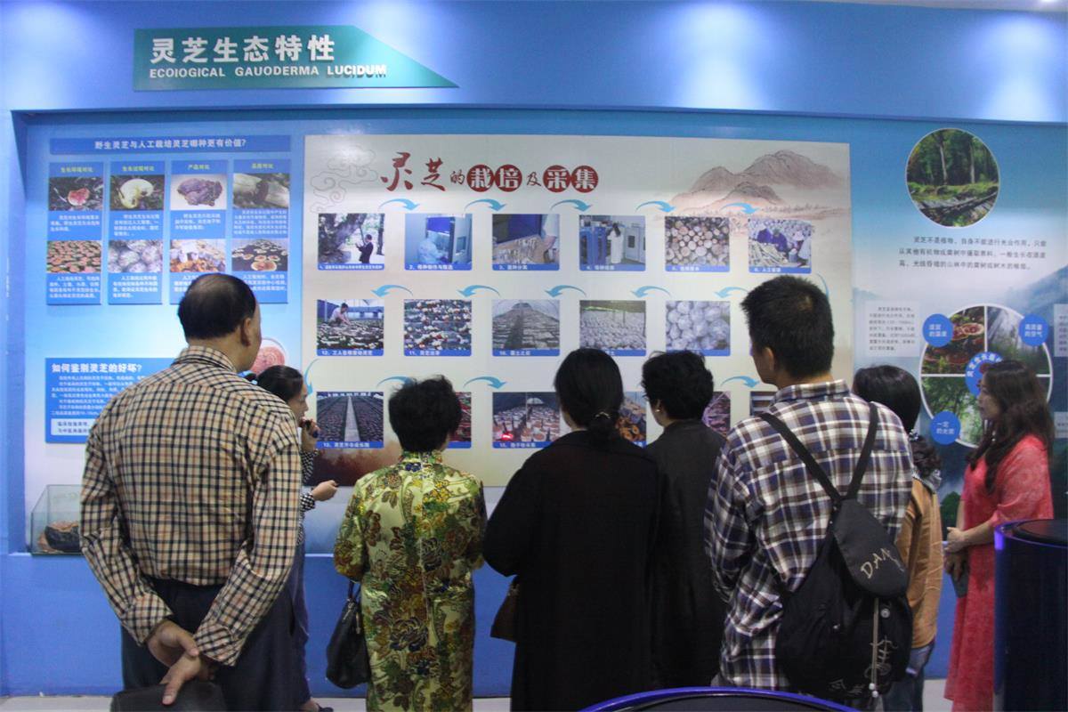 中國靈芝十大品牌|仙客來靈芝|仙客來靈芝破壁孢子粉|仙客來孢子油|仙客來靈芝飲片|仙客來破壁孢子粉|仙客來靈芝中藥飲片|馳名商標|tianyabagua.cn|