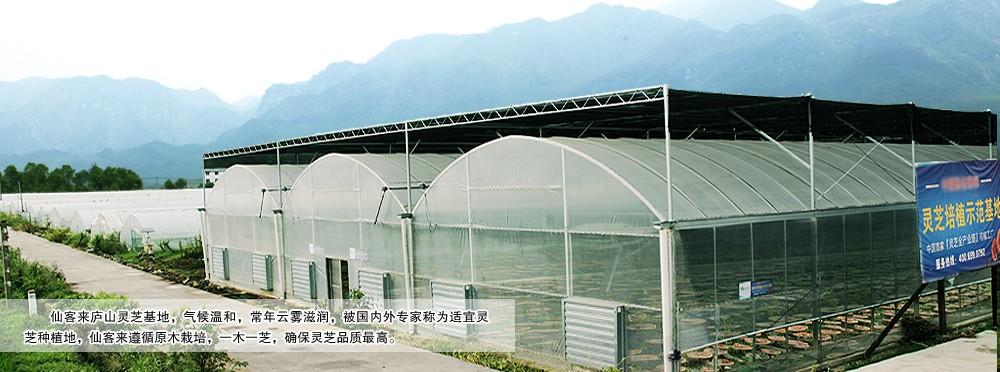 中國靈芝十大品牌|仙客來靈芝|仙客來靈芝破壁孢子粉|仙客來孢子油|仙客來靈芝飲片|仙客來破壁孢子粉|仙客來靈芝中藥飲片|馳名商標|tianyabagua.cn|