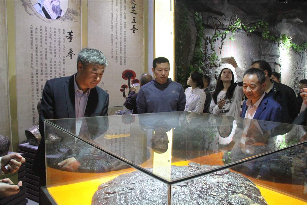 中國靈芝十大品牌|仙客來靈芝|仙客來靈芝破壁孢子粉|仙客來孢子油|仙客來靈芝飲片|仙客來破壁孢子粉|仙客來靈芝中藥飲片|馳名商標|tianyabagua.cn|