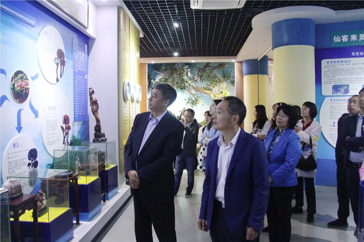 中國靈芝十大品牌|仙客來靈芝|仙客來靈芝破壁孢子粉|仙客來孢子油|仙客來靈芝飲片|仙客來破壁孢子粉|仙客來靈芝中藥飲片|馳名商標|tianyabagua.cn|