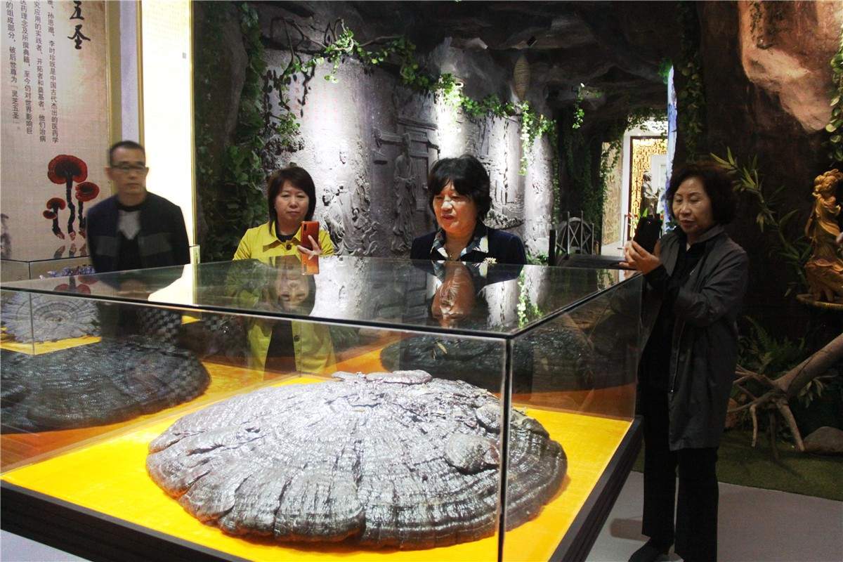 中國靈芝十大品牌|仙客來靈芝|仙客來靈芝破壁孢子粉|仙客來孢子油|仙客來靈芝飲片|仙客來破壁孢子粉|仙客來靈芝中藥飲片|馳名商標(biāo)|tianyabagua.cn|