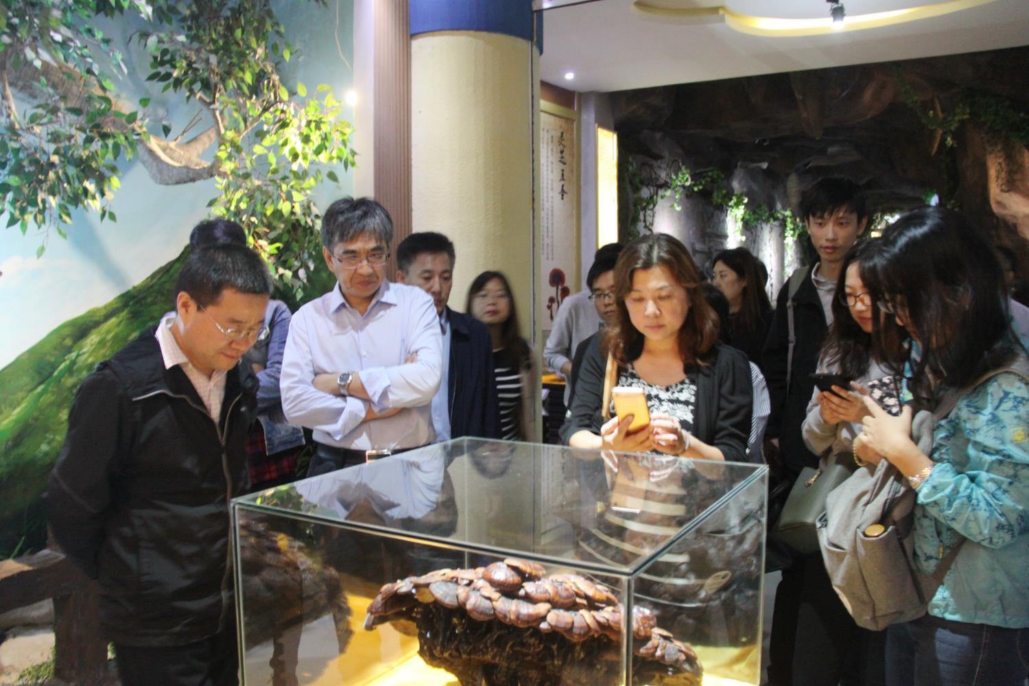 中國靈芝十大品牌|仙客來靈芝|仙客來靈芝破壁孢子粉|仙客來孢子油|仙客來靈芝飲片|仙客來破壁孢子粉|仙客來靈芝中藥飲片|馳名商標(biāo)|tianyabagua.cn|