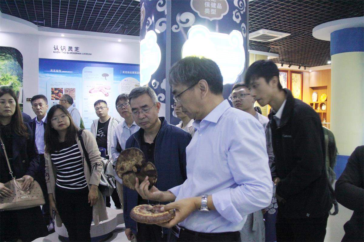 中國靈芝十大品牌|仙客來靈芝|仙客來靈芝破壁孢子粉|仙客來孢子油|仙客來靈芝飲片|仙客來破壁孢子粉|仙客來靈芝中藥飲片|馳名商標(biāo)|tianyabagua.cn|