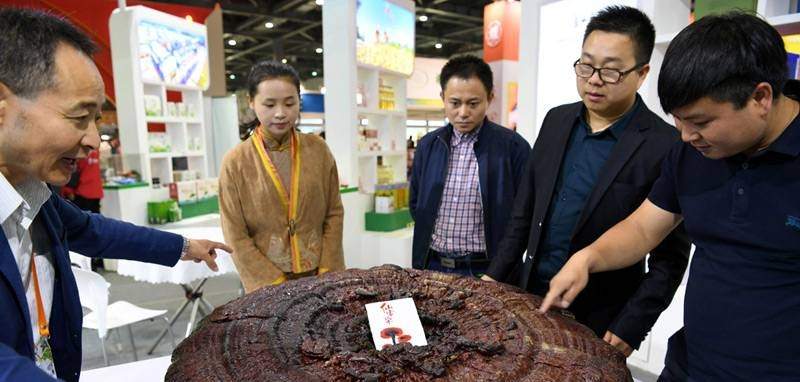 中國靈芝十大品牌|仙客來靈芝|仙客來靈芝破壁孢子粉|仙客來孢子油|仙客來靈芝飲片|仙客來破壁孢子粉|仙客來靈芝中藥飲片|馳名商標(biāo)|tianyabagua.cn|