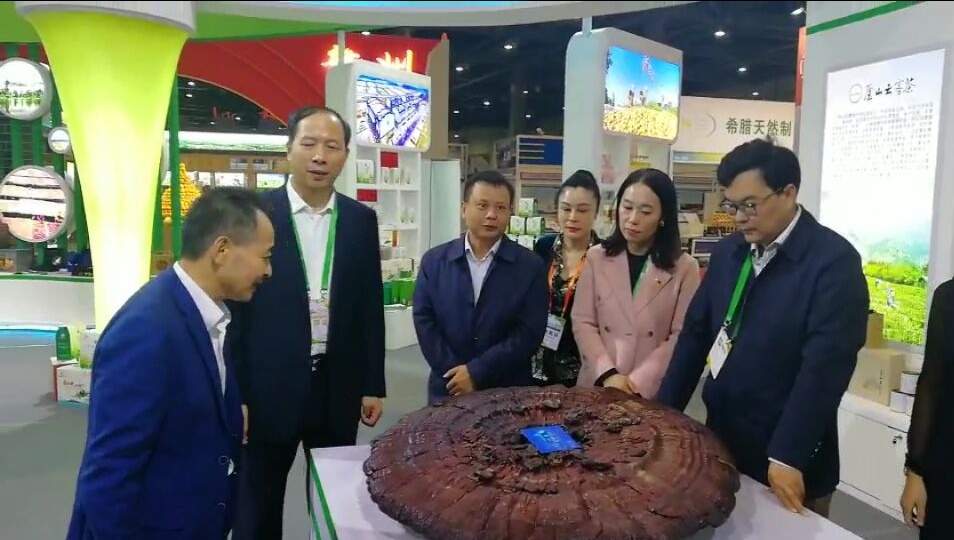 中國靈芝十大品牌|仙客來靈芝|仙客來靈芝破壁孢子粉|仙客來孢子油|仙客來靈芝飲片|仙客來破壁孢子粉|仙客來靈芝中藥飲片|馳名商標(biāo)|tianyabagua.cn|