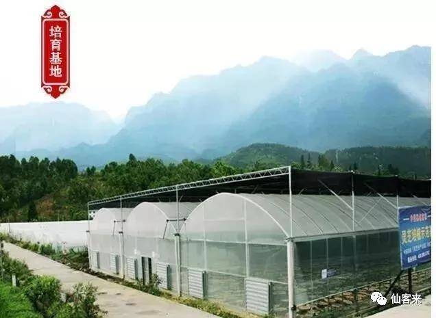 中國(guó)靈芝十大品牌|仙客來(lái)靈芝|仙客來(lái)靈芝破壁孢子粉|仙客來(lái)孢子油|仙客來(lái)靈芝飲片|仙客來(lái)破壁孢子粉|仙客來(lái)靈芝中藥飲片|馳名商標(biāo)|tianyabagua.cn|