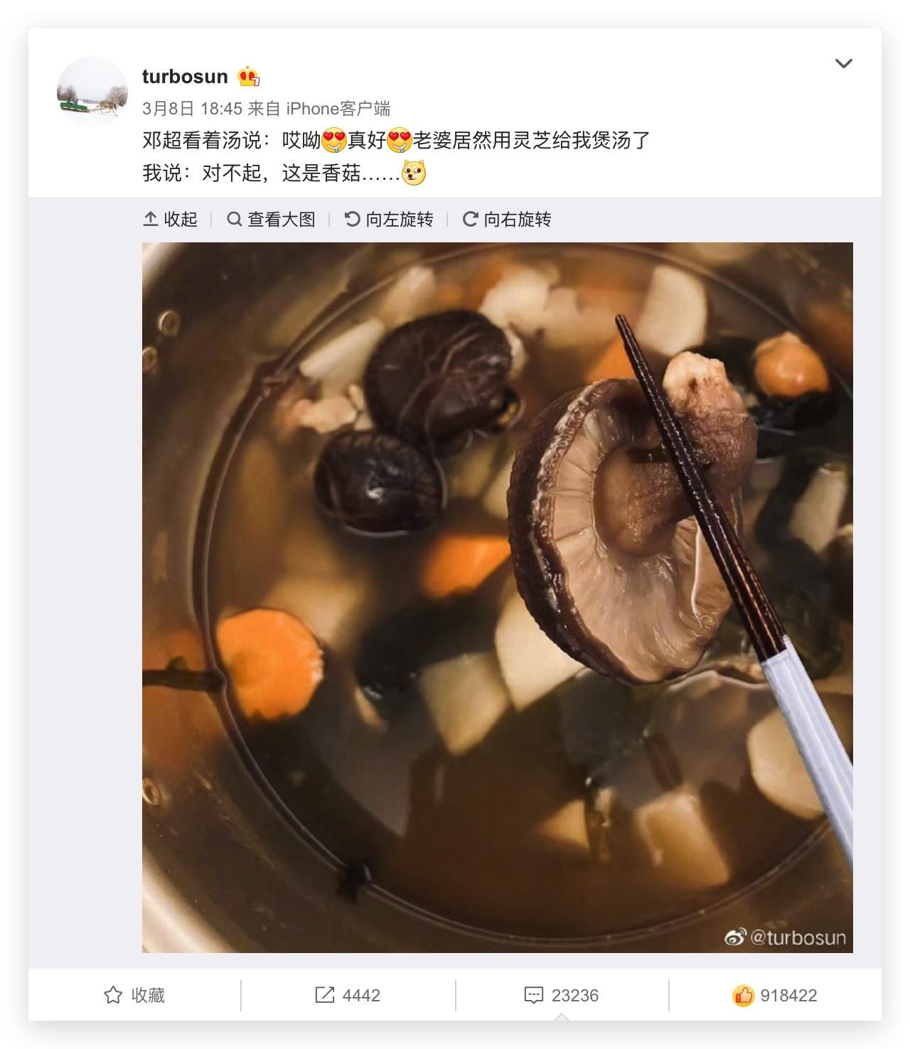 杭州亞運(yùn)會(huì)官方靈芝產(chǎn)品供應(yīng)商|杭州亞運(yùn)會(huì)官方供應(yīng)商|中國(guó)靈芝十大品牌|仙客來(lái)靈芝|仙客來(lái)靈芝破壁孢子粉|仙客來(lái)孢子油|仙客來(lái)靈芝飲片|仙客來(lái)破壁孢子粉|靈芝孢子油|孢子粉|靈芝破壁孢子粉|靈芝|中華老字號(hào)