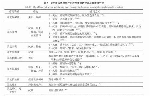 杭州亞運會官方靈芝產(chǎn)品供應商|杭州亞運會官方供應商|中國靈芝十大品牌|仙客來靈芝|仙客來靈芝破壁孢子粉|仙客來孢子油|仙客來靈芝飲片|仙客來破壁孢子粉|靈芝孢子油|孢子粉|靈芝破壁孢子粉|靈芝|中華老字號