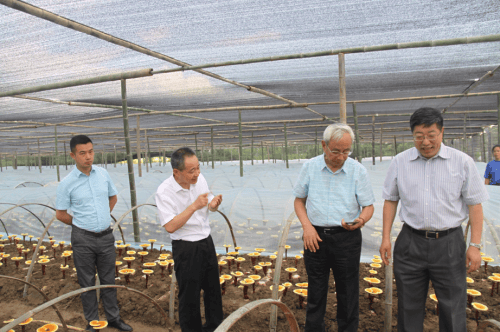 杭州亞運(yùn)會(huì)官方靈芝產(chǎn)品供應(yīng)商|杭州亞運(yùn)會(huì)官方供應(yīng)商|中國(guó)靈芝十大品牌|仙客來(lái)靈芝|仙客來(lái)靈芝破壁孢子粉|仙客來(lái)孢子油|仙客來(lái)靈芝飲片|仙客來(lái)破壁孢子粉|靈芝孢子油|孢子粉|靈芝破壁孢子粉|靈芝|中華老字號(hào)