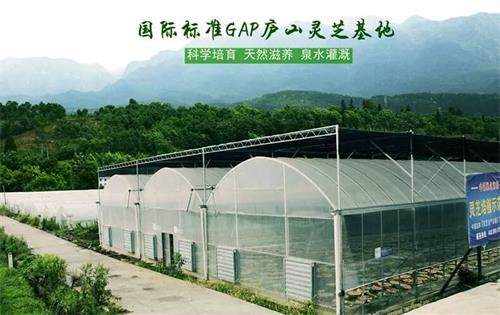 1593418484438212.jpg 5897B2FD29CD6B8BF461AE4F8EAFBF58_看圖王(1).jpg