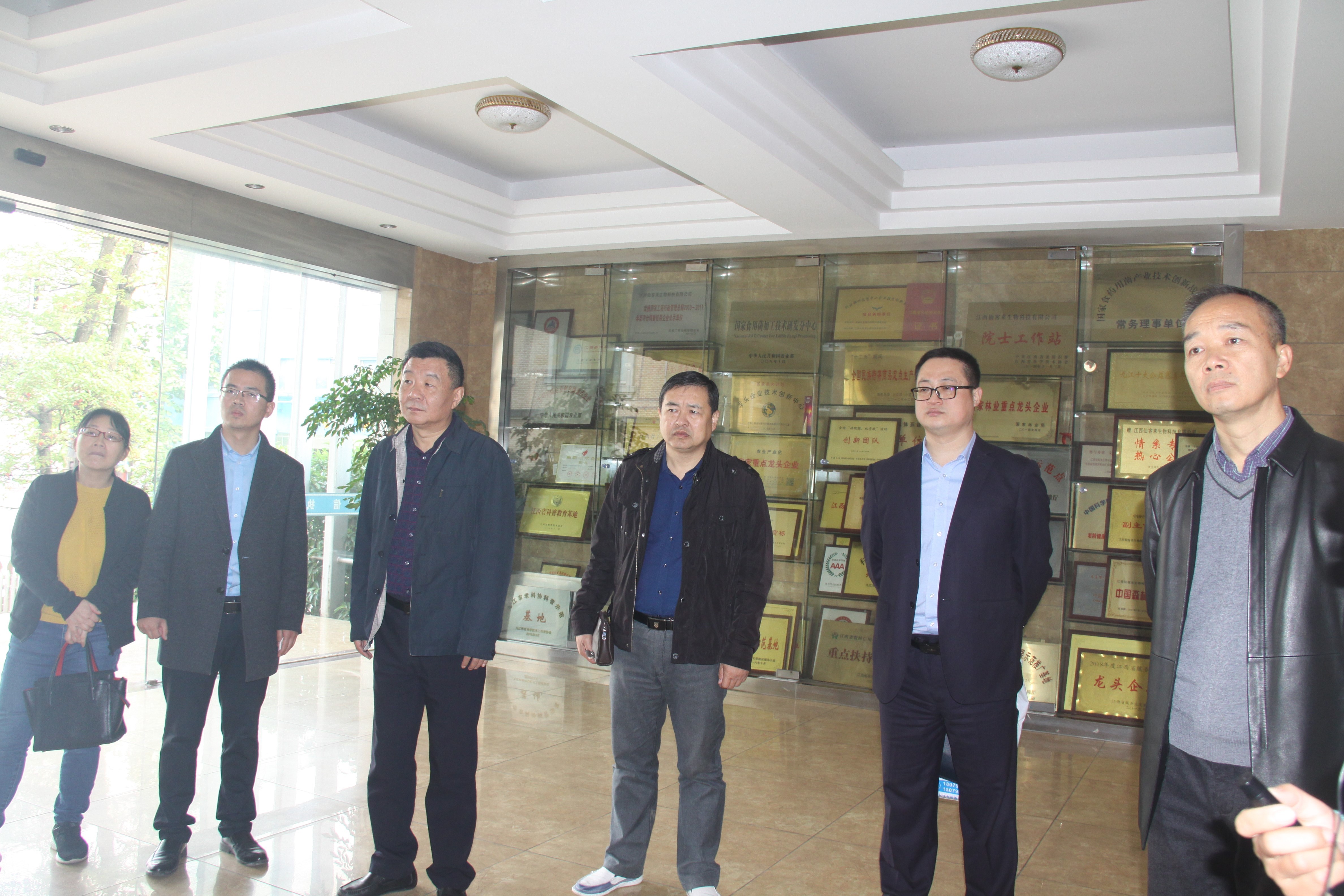 杭州亞運(yùn)會(huì)官方靈芝產(chǎn)品供應(yīng)商|杭州亞運(yùn)會(huì)官方供應(yīng)商|中國靈芝十大品牌|仙客來靈芝|仙客來靈芝破壁孢子粉|仙客來孢子油|仙客來靈芝飲片|仙客來破壁孢子粉|靈芝孢子油|孢子粉|靈芝破壁孢子粉|靈芝|中華老字號(hào) 杭州亞運(yùn)會(huì)官方靈芝產(chǎn)品供應(yīng)商|杭州亞運(yùn)會(huì)官方供應(yīng)商|中國靈芝十大品牌|仙客來靈芝|仙客來靈芝破壁孢子粉|仙客來孢子油|仙客來靈芝飲片|仙客來破壁孢子粉|靈芝孢子油|孢子粉|靈芝破壁孢子粉|靈芝|中華老字號(hào)