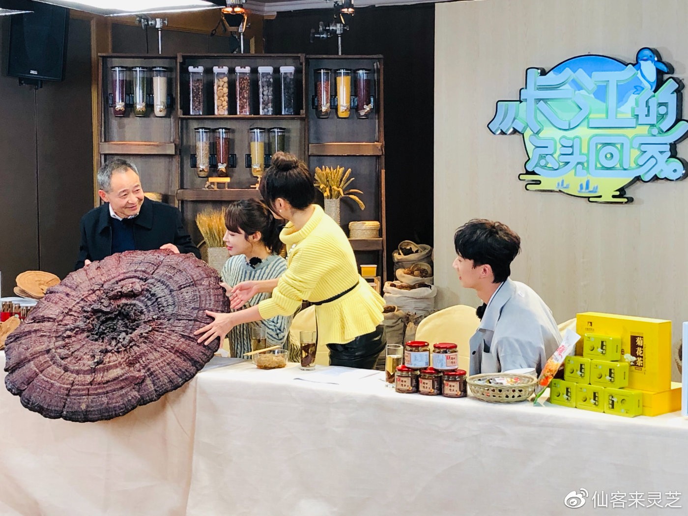 杭州亞運(yùn)會(huì)官方靈芝產(chǎn)品供應(yīng)商|杭州亞運(yùn)會(huì)官方供應(yīng)商|中國靈芝十大品牌|仙客來靈芝|仙客來靈芝破壁孢子粉|仙客來孢子油|仙客來靈芝飲片|仙客來破壁孢子粉|靈芝孢子油|孢子粉|靈芝破壁孢子粉|靈芝|中華老字號(hào) 杭州亞運(yùn)會(huì)官方靈芝產(chǎn)品供應(yīng)商|杭州亞運(yùn)會(huì)官方供應(yīng)商|中國靈芝十大品牌|仙客來靈芝|仙客來靈芝破壁孢子粉|仙客來孢子油|仙客來靈芝飲片|仙客來破壁孢子粉|靈芝孢子油|孢子粉|靈芝破壁孢子粉|靈芝|中華老字號(hào)