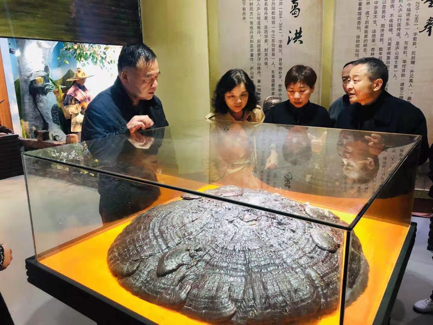 杭州亞運會官方靈芝產(chǎn)品供應商|杭州亞運會官方供應商|中國靈芝十大品牌|仙客來靈芝|仙客來靈芝破壁孢子粉|仙客來孢子油|仙客來靈芝飲片|仙客來破壁孢子粉|靈芝孢子油|孢子粉|靈芝破壁孢子粉|靈芝|中華老字號