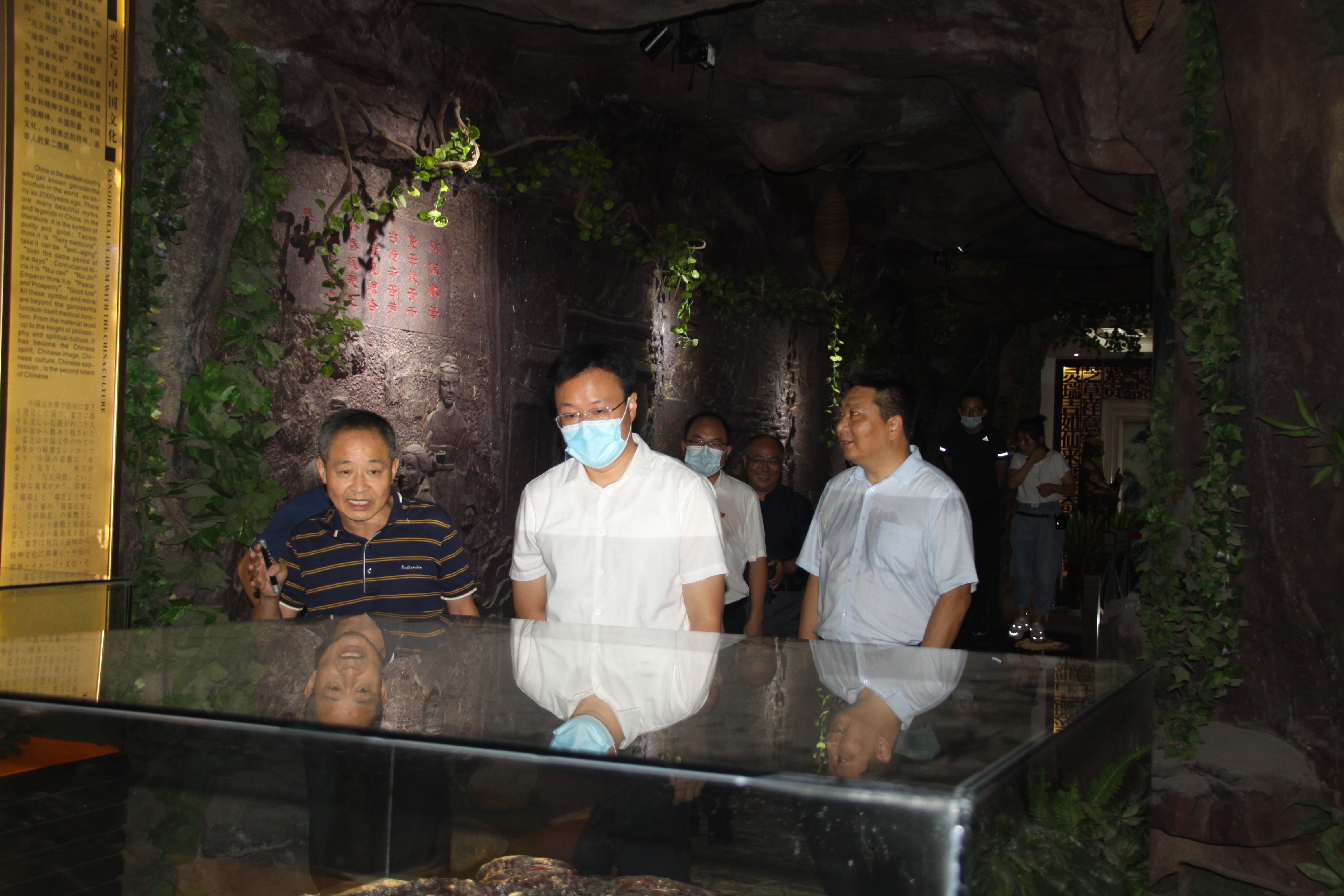 杭州亞運(yùn)會(huì)官方靈芝產(chǎn)品供應(yīng)商|杭州亞運(yùn)會(huì)官方供應(yīng)商|中國(guó)靈芝十大品牌|仙客來(lái)靈芝|仙客來(lái)靈芝破壁孢子粉|仙客來(lái)孢子油|仙客來(lái)靈芝飲片|仙客來(lái)破壁孢子粉|靈芝孢子油|孢子粉|靈芝破壁孢子粉|靈芝|中華老字號(hào) 杭州亞運(yùn)會(huì)官方靈芝產(chǎn)品供應(yīng)商|杭州亞運(yùn)會(huì)官方供應(yīng)商|中國(guó)靈芝十大品牌|仙客來(lái)靈芝|仙客來(lái)靈芝破壁孢子粉|仙客來(lái)孢子油|仙客來(lái)靈芝飲片|仙客來(lái)破壁孢子粉|靈芝孢子油|孢子粉|靈芝破壁孢子粉|靈芝|中華老字號(hào)