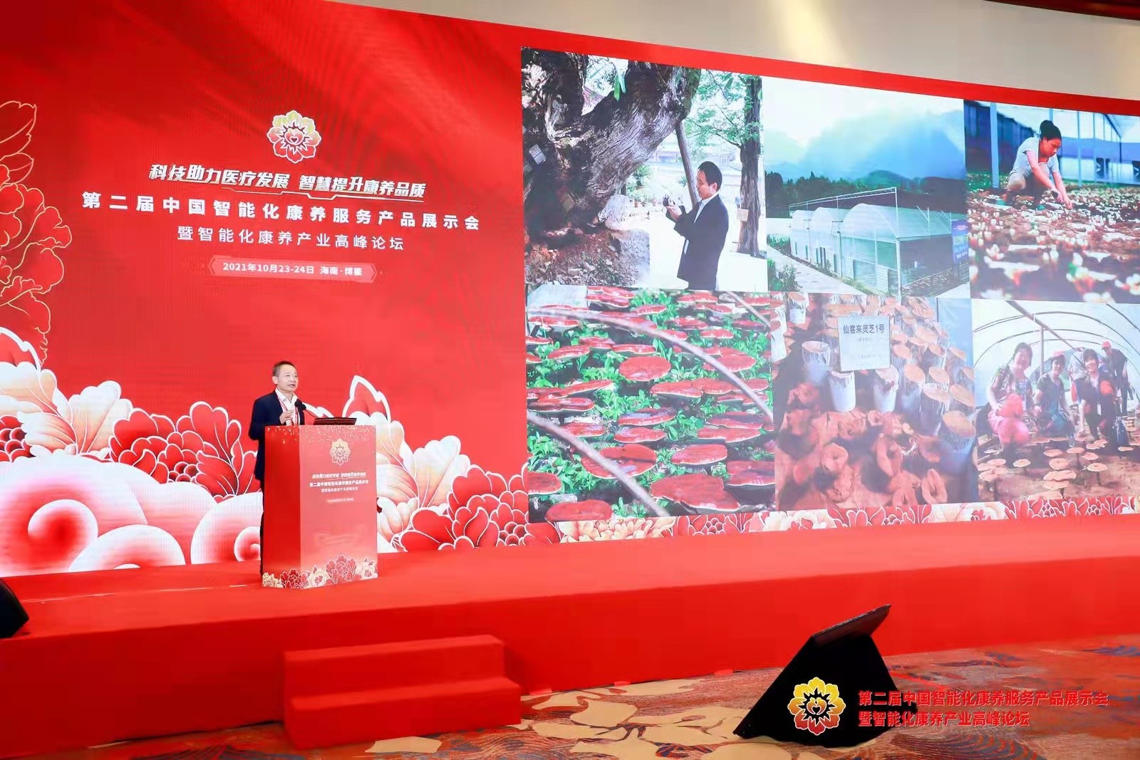 杭州亞運會官方靈芝產(chǎn)品供應(yīng)商|杭州亞運會官方供應(yīng)商|中國靈芝十大品牌|仙客來靈芝|仙客來靈芝破壁孢子粉|仙客來孢子油|仙客來靈芝飲片|仙客來破壁孢子粉|靈芝孢子油|孢子粉|靈芝破壁孢子粉|靈芝|中華老字號 杭州亞運會官方靈芝產(chǎn)品供應(yīng)商|杭州亞運會官方供應(yīng)商|中國靈芝十大品牌|仙客來靈芝|仙客來靈芝破壁孢子粉|仙客來孢子油|仙客來靈芝飲片|仙客來破壁孢子粉|靈芝孢子油|孢子粉|靈芝破壁孢子粉|靈芝|中華老字號