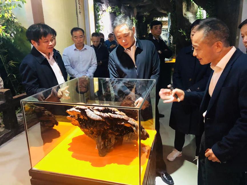 杭州亞運會官方靈芝產品供應商|杭州亞運會官方供應商|中國靈芝十大品牌|仙客來靈芝|仙客來靈芝破壁孢子粉|仙客來孢子油|仙客來靈芝飲片|仙客來破壁孢子粉|靈芝孢子油|孢子粉|靈芝破壁孢子粉|靈芝|中華老字號 杭州亞運會官方靈芝產品供應商|杭州亞運會官方供應商|中國靈芝十大品牌|仙客來靈芝|仙客來靈芝破壁孢子粉|仙客來孢子油|仙客來靈芝飲片|仙客來破壁孢子粉|靈芝孢子油|孢子粉|靈芝破壁孢子粉|靈芝|中華老字號