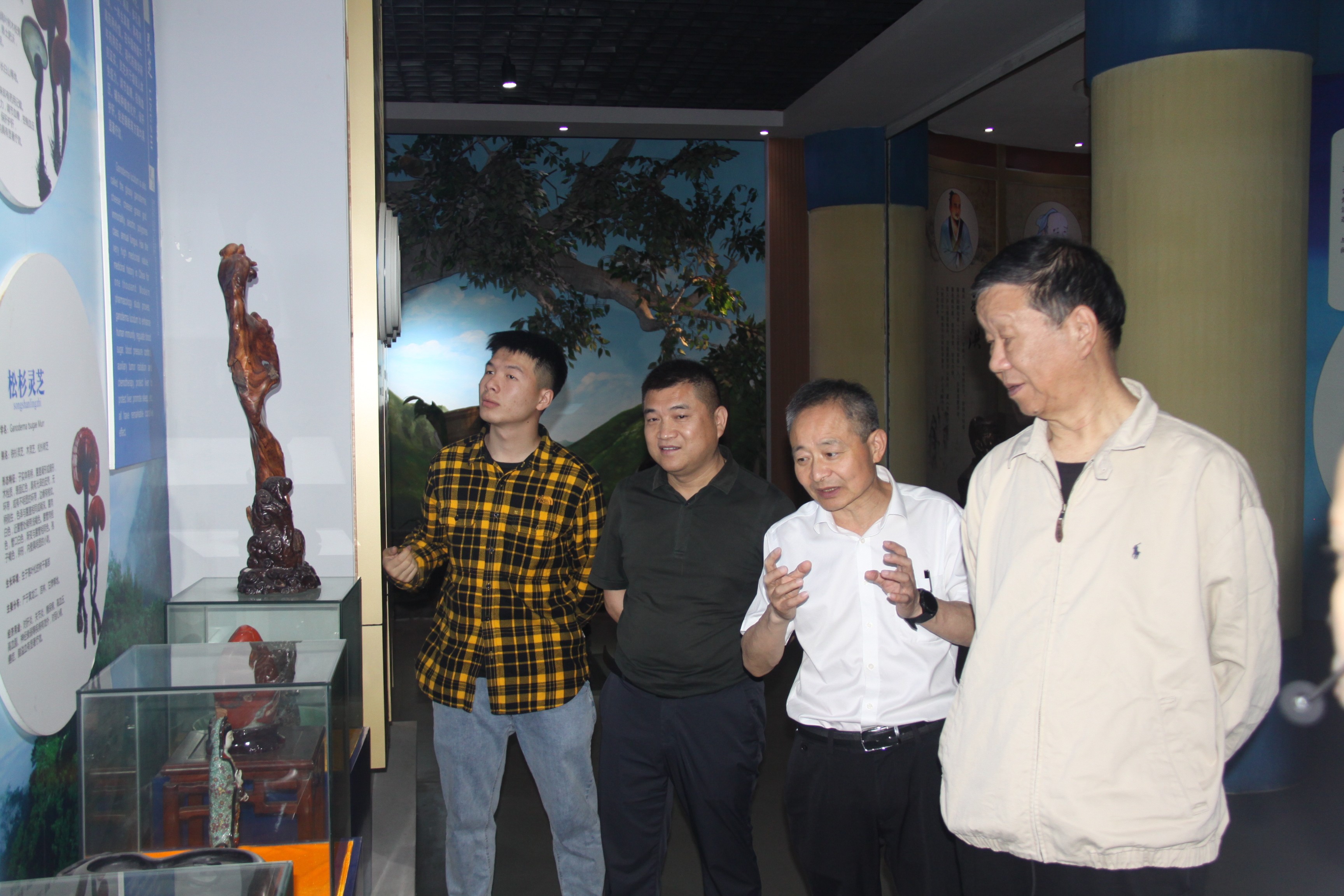 杭州亞運(yùn)會(huì)官方靈芝產(chǎn)品供應(yīng)商|杭州亞運(yùn)會(huì)官方供應(yīng)商|中國(guó)靈芝十大品牌|仙客來(lái)靈芝|仙客來(lái)靈芝破壁孢子粉|仙客來(lái)孢子油|仙客來(lái)靈芝飲片|仙客來(lái)破壁孢子粉|靈芝孢子油|孢子粉|靈芝破壁孢子粉|靈芝|中華老字號(hào) 杭州亞運(yùn)會(huì)官方靈芝產(chǎn)品供應(yīng)商|杭州亞運(yùn)會(huì)官方供應(yīng)商|中國(guó)靈芝十大品牌|仙客來(lái)靈芝|仙客來(lái)靈芝破壁孢子粉|仙客來(lái)孢子油|仙客來(lái)靈芝飲片|仙客來(lái)破壁孢子粉|靈芝孢子油|孢子粉|靈芝破壁孢子粉|靈芝|中華老字號(hào)