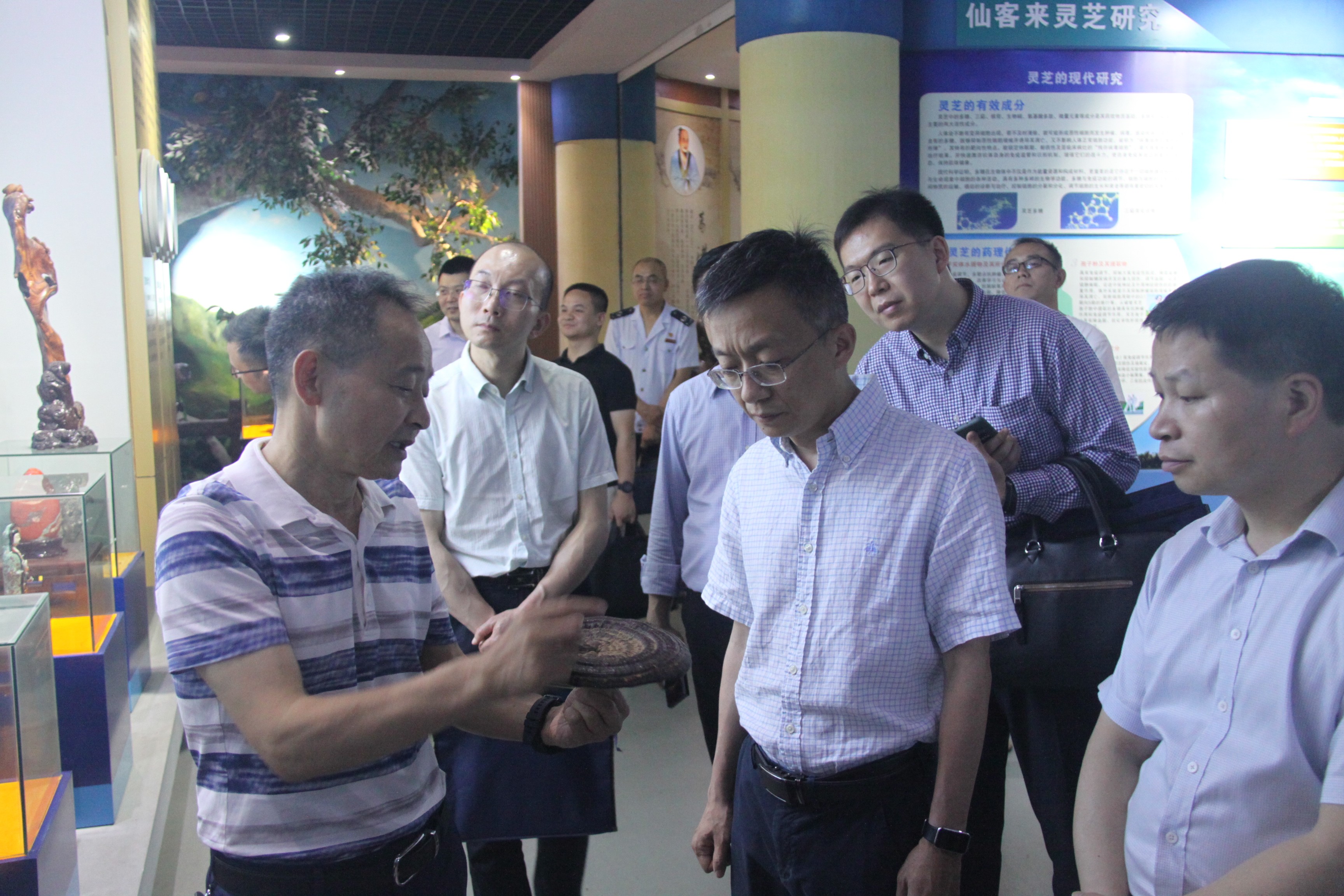 杭州亞運會官方靈芝產(chǎn)品供應(yīng)商|杭州亞運會官方供應(yīng)商|中國靈芝十大品牌|仙客來靈芝|仙客來靈芝破壁孢子粉|仙客來孢子油|仙客來靈芝飲片|仙客來破壁孢子粉|靈芝孢子油|孢子粉|靈芝破壁孢子粉|靈芝|中華老字號