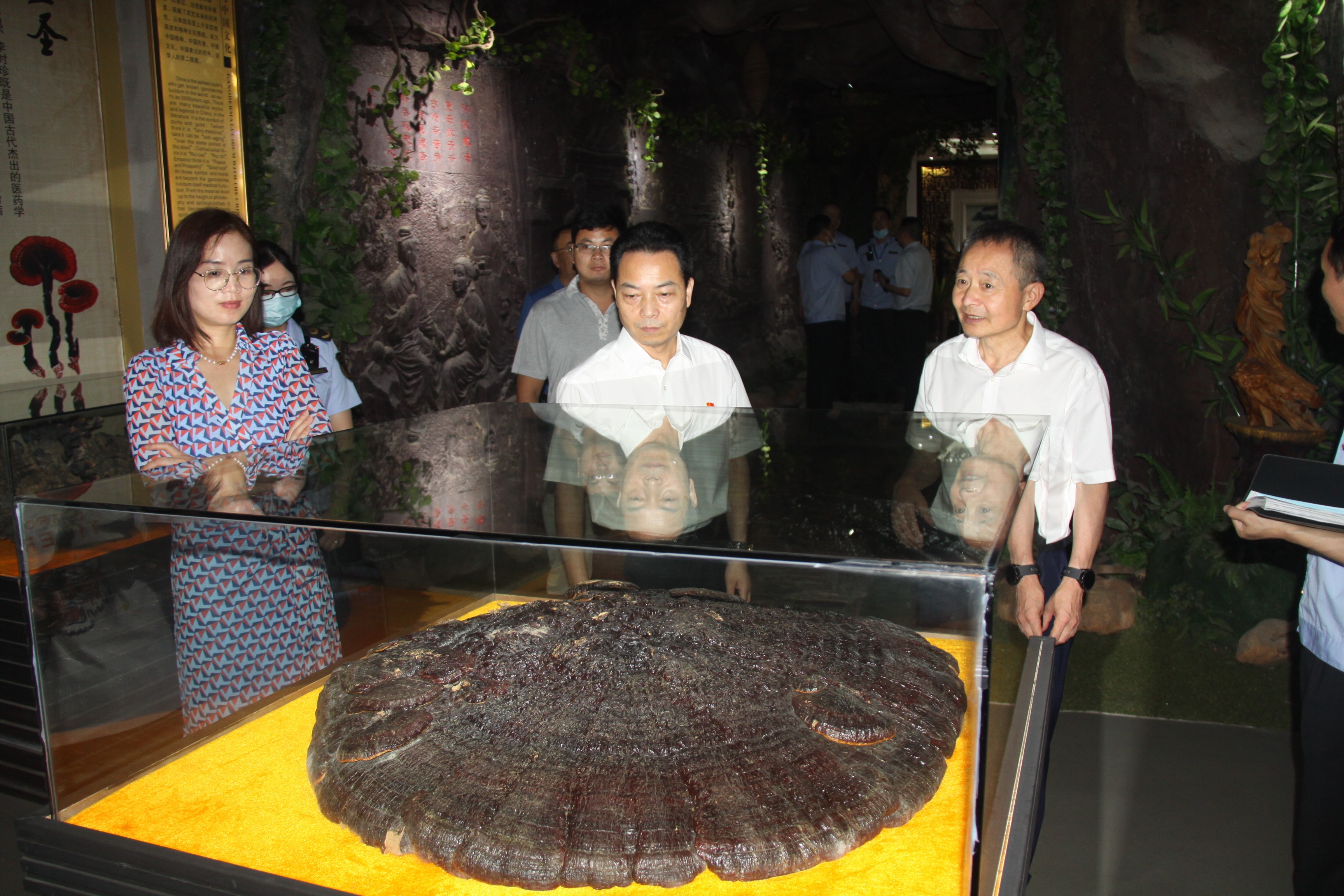 杭州亞運會官方靈芝產(chǎn)品供應商|杭州亞運會官方供應商|中國靈芝十大品牌|仙客來靈芝|仙客來靈芝破壁孢子粉|仙客來孢子油|仙客來靈芝飲片|仙客來破壁孢子粉|靈芝孢子油|孢子粉|靈芝破壁孢子粉|靈芝|中華老字號 杭州亞運會官方靈芝產(chǎn)品供應商|杭州亞運會官方供應商|中國靈芝十大品牌|仙客來靈芝|仙客來靈芝破壁孢子粉|仙客來孢子油|仙客來靈芝飲片|仙客來破壁孢子粉|靈芝孢子油|孢子粉|靈芝破壁孢子粉|靈芝|中華老字號