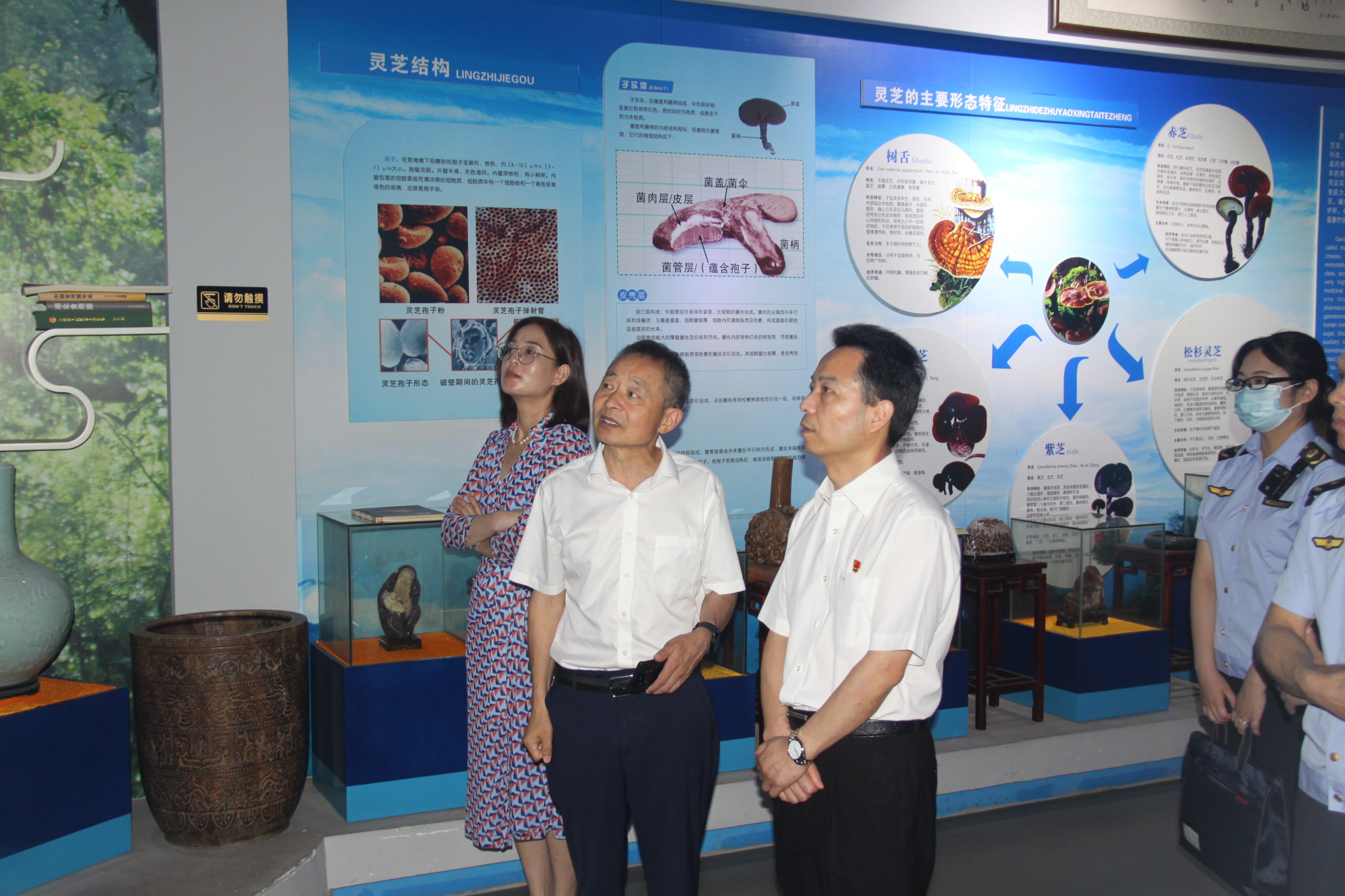 杭州亞運會官方靈芝產(chǎn)品供應商|杭州亞運會官方供應商|中國靈芝十大品牌|仙客來靈芝|仙客來靈芝破壁孢子粉|仙客來孢子油|仙客來靈芝飲片|仙客來破壁孢子粉|靈芝孢子油|孢子粉|靈芝破壁孢子粉|靈芝|中華老字號 杭州亞運會官方靈芝產(chǎn)品供應商|杭州亞運會官方供應商|中國靈芝十大品牌|仙客來靈芝|仙客來靈芝破壁孢子粉|仙客來孢子油|仙客來靈芝飲片|仙客來破壁孢子粉|靈芝孢子油|孢子粉|靈芝破壁孢子粉|靈芝|中華老字號