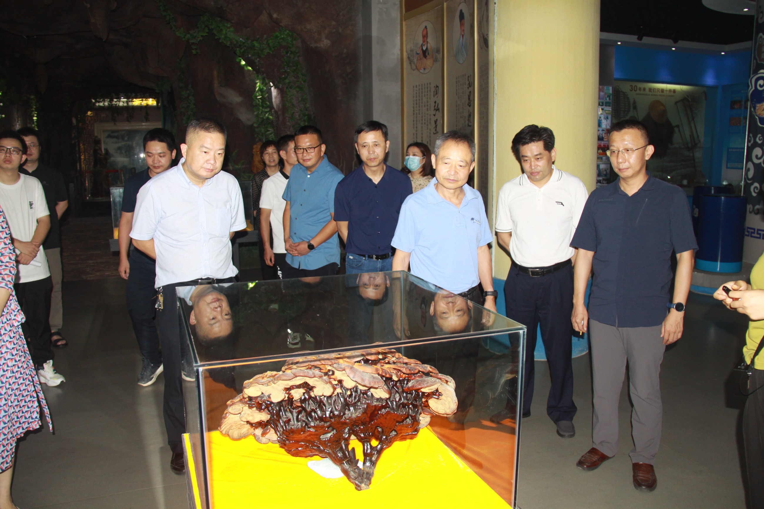 杭州亞運會官方靈芝產(chǎn)品供應(yīng)商|杭州亞運會官方供應(yīng)商|中國靈芝十大品牌|仙客來靈芝|仙客來靈芝破壁孢子粉|仙客來孢子油|仙客來靈芝飲片|仙客來破壁孢子粉|靈芝孢子油|孢子粉|靈芝破壁孢子粉|靈芝|中華老字號