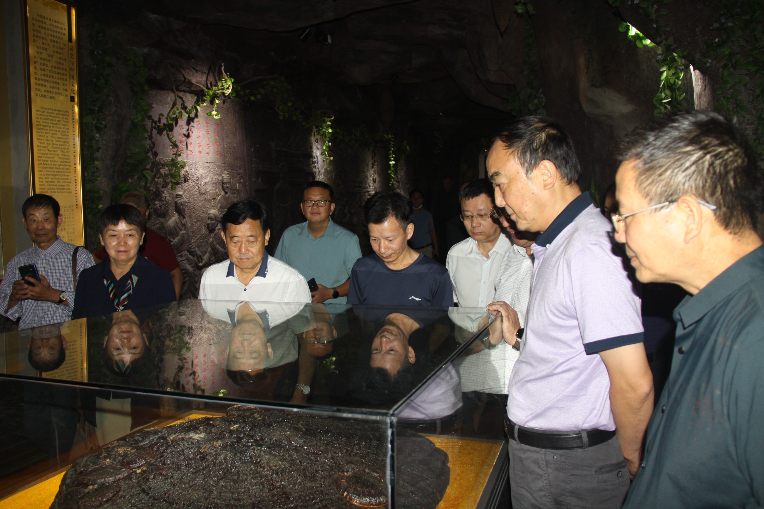 杭州亞運(yùn)會(huì)官方靈芝產(chǎn)品供應(yīng)商|杭州亞運(yùn)會(huì)官方供應(yīng)商|中國(guó)靈芝十大品牌|仙客來靈芝|仙客來靈芝破壁孢子粉|仙客來孢子油|仙客來靈芝飲片|仙客來破壁孢子粉|靈芝孢子油|孢子粉|靈芝破壁孢子粉|靈芝|中華老字號(hào)