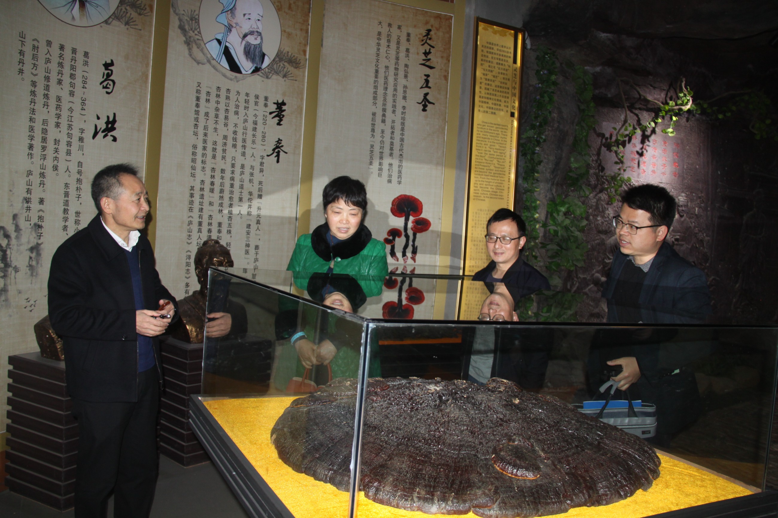 杭州亞運(yùn)會官方靈芝產(chǎn)品供應(yīng)商|杭州亞運(yùn)會官方供應(yīng)商|中國靈芝十大品牌|仙客來靈芝|仙客來靈芝破壁孢子粉|仙客來孢子油|仙客來靈芝飲片|仙客來破壁孢子粉|靈芝孢子油|孢子粉|靈芝破壁孢子粉|靈芝|中華老字號