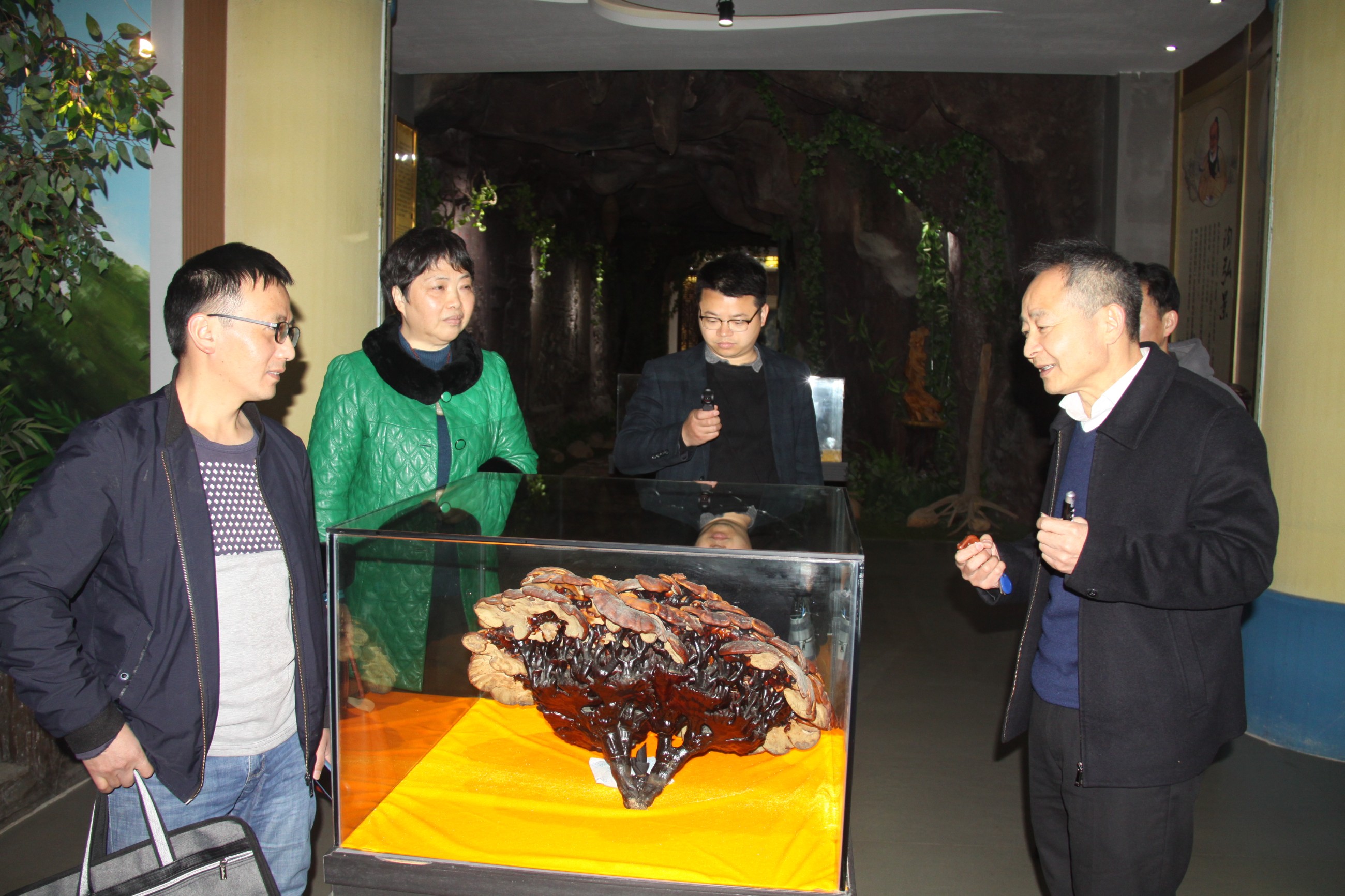 杭州亞運(yùn)會官方靈芝產(chǎn)品供應(yīng)商|杭州亞運(yùn)會官方供應(yīng)商|中國靈芝十大品牌|仙客來靈芝|仙客來靈芝破壁孢子粉|仙客來孢子油|仙客來靈芝飲片|仙客來破壁孢子粉|靈芝孢子油|孢子粉|靈芝破壁孢子粉|靈芝|中華老字號