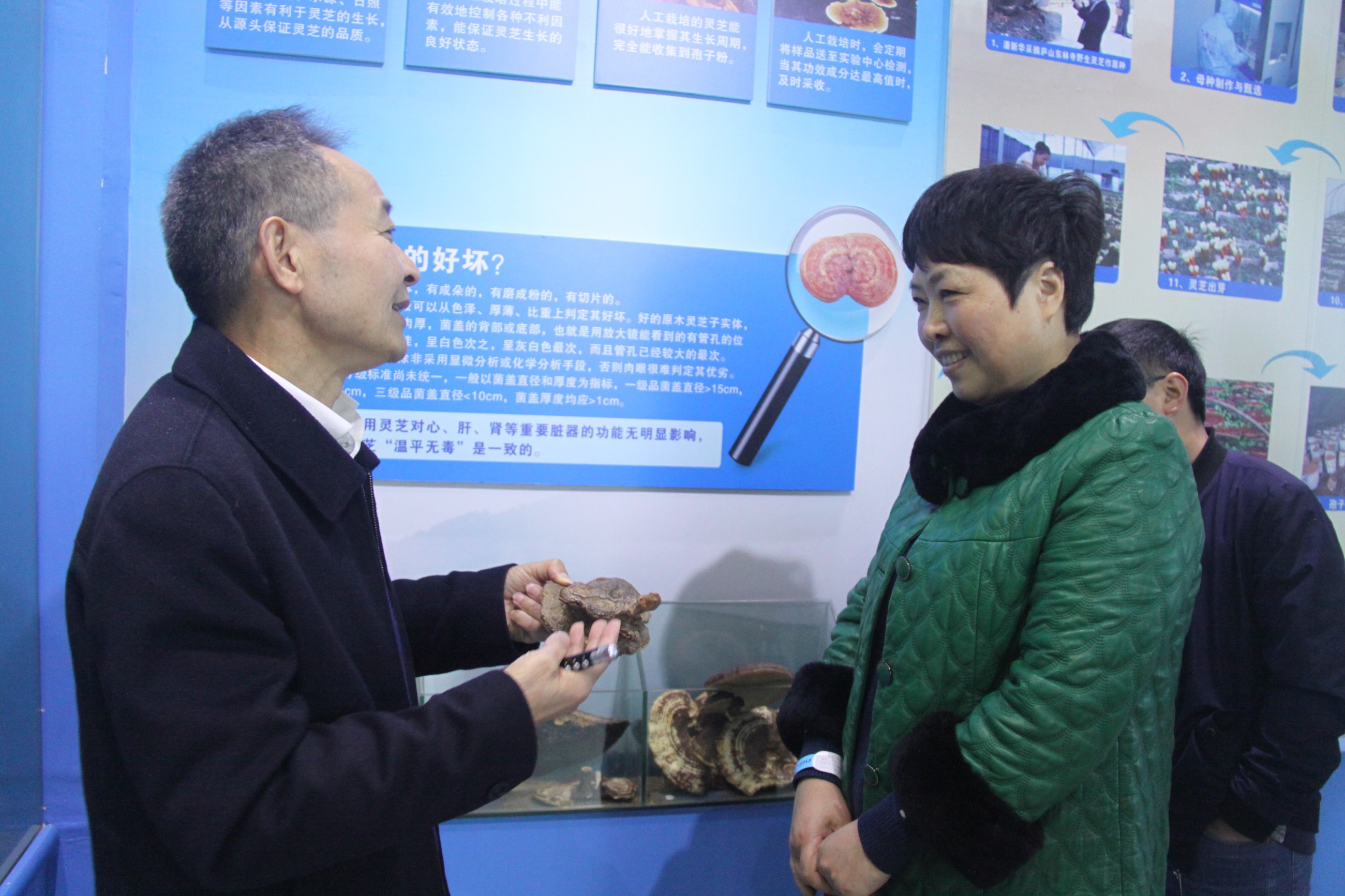 杭州亞運(yùn)會官方靈芝產(chǎn)品供應(yīng)商|杭州亞運(yùn)會官方供應(yīng)商|中國靈芝十大品牌|仙客來靈芝|仙客來靈芝破壁孢子粉|仙客來孢子油|仙客來靈芝飲片|仙客來破壁孢子粉|靈芝孢子油|孢子粉|靈芝破壁孢子粉|靈芝|中華老字號