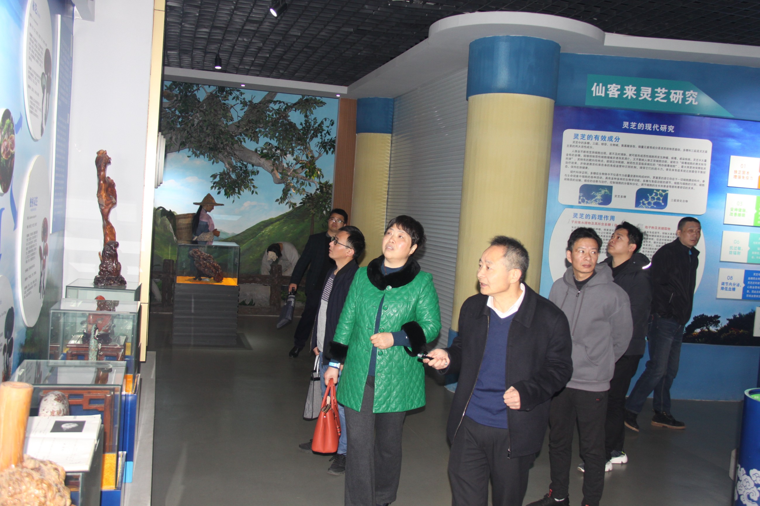 杭州亞運(yùn)會官方靈芝產(chǎn)品供應(yīng)商|杭州亞運(yùn)會官方供應(yīng)商|中國靈芝十大品牌|仙客來靈芝|仙客來靈芝破壁孢子粉|仙客來孢子油|仙客來靈芝飲片|仙客來破壁孢子粉|靈芝孢子油|孢子粉|靈芝破壁孢子粉|靈芝|中華老字號