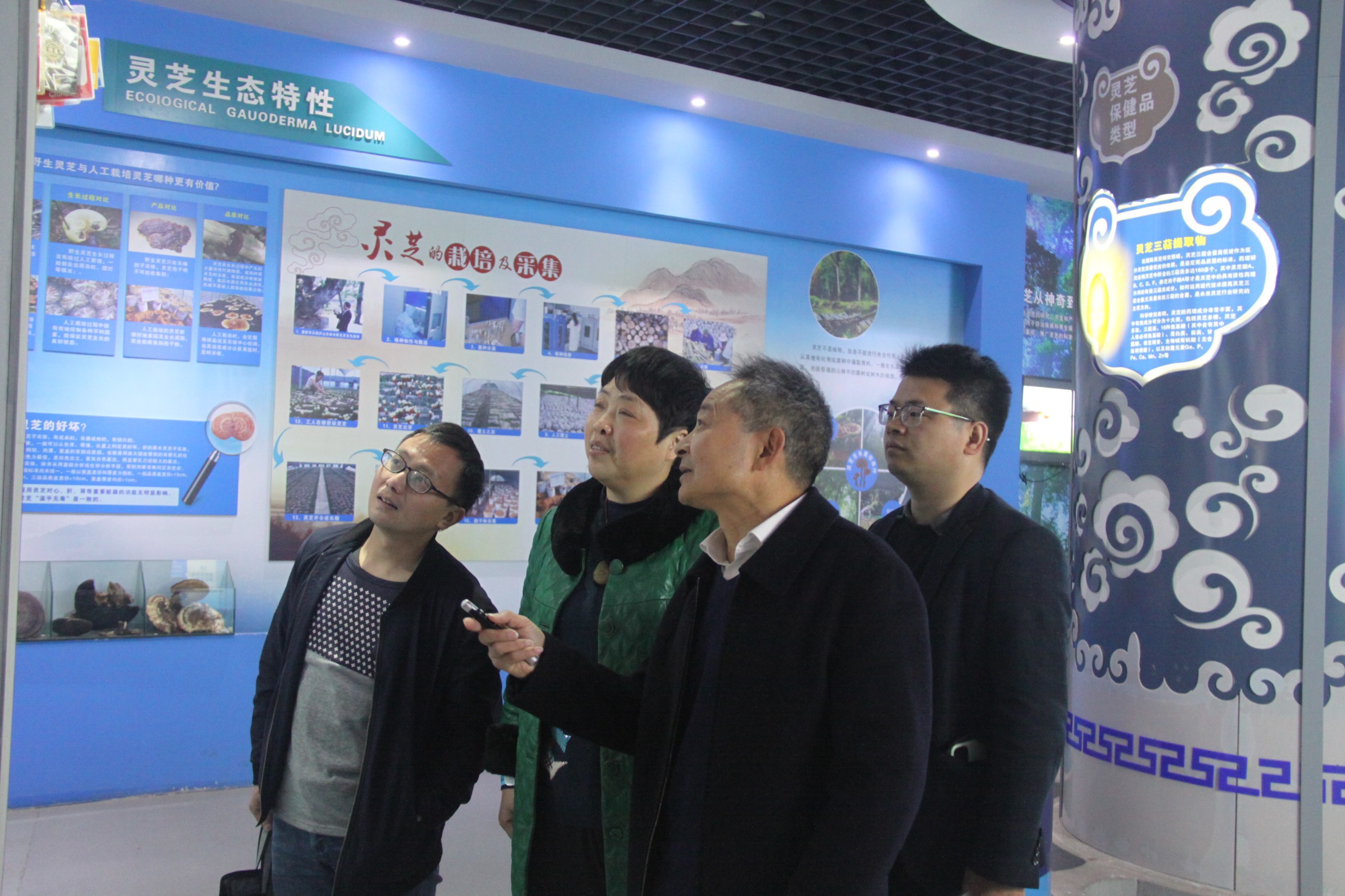 杭州亞運(yùn)會官方靈芝產(chǎn)品供應(yīng)商|杭州亞運(yùn)會官方供應(yīng)商|中國靈芝十大品牌|仙客來靈芝|仙客來靈芝破壁孢子粉|仙客來孢子油|仙客來靈芝飲片|仙客來破壁孢子粉|靈芝孢子油|孢子粉|靈芝破壁孢子粉|靈芝|中華老字號