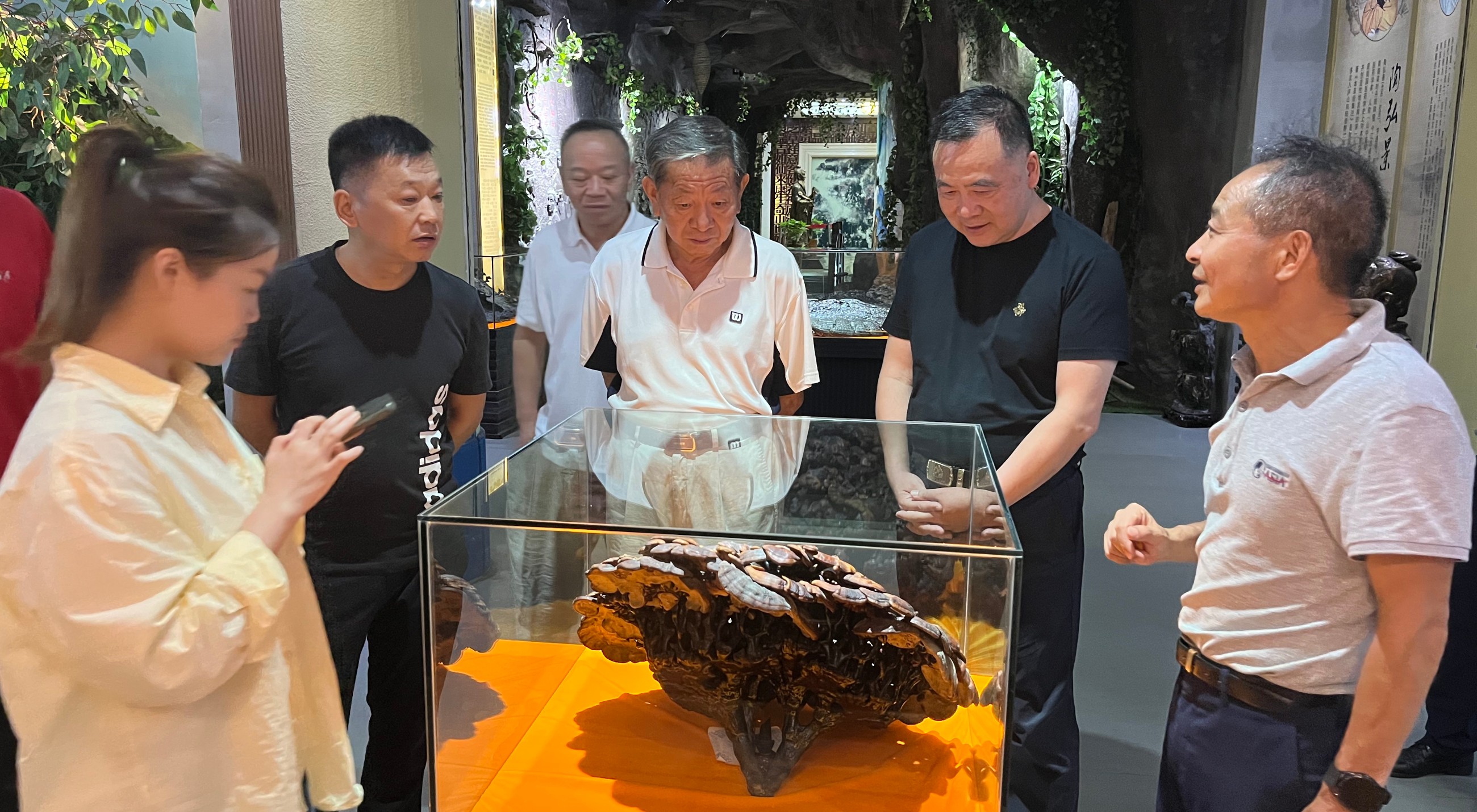 杭州亞運(yùn)會官方靈芝產(chǎn)品供應(yīng)商|杭州亞運(yùn)會官方供應(yīng)商|中國靈芝十大品牌|仙客來靈芝|仙客來靈芝破壁孢子粉|仙客來孢子油|仙客來靈芝飲片|仙客來破壁孢子粉|靈芝孢子油|孢子粉|靈芝破壁孢子粉|靈芝|中華老字號