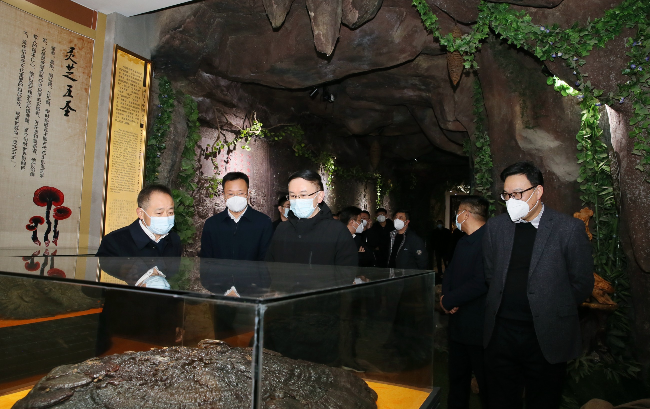 杭州亞運(yùn)會(huì)官方靈芝產(chǎn)品供應(yīng)商|杭州亞運(yùn)會(huì)官方供應(yīng)商|中國靈芝十大品牌|仙客來靈芝|仙客來靈芝破壁孢子粉|仙客來孢子油|仙客來靈芝飲片|仙客來破壁孢子粉|靈芝孢子油|孢子粉|靈芝破壁孢子粉|靈芝|中華老字號(hào)