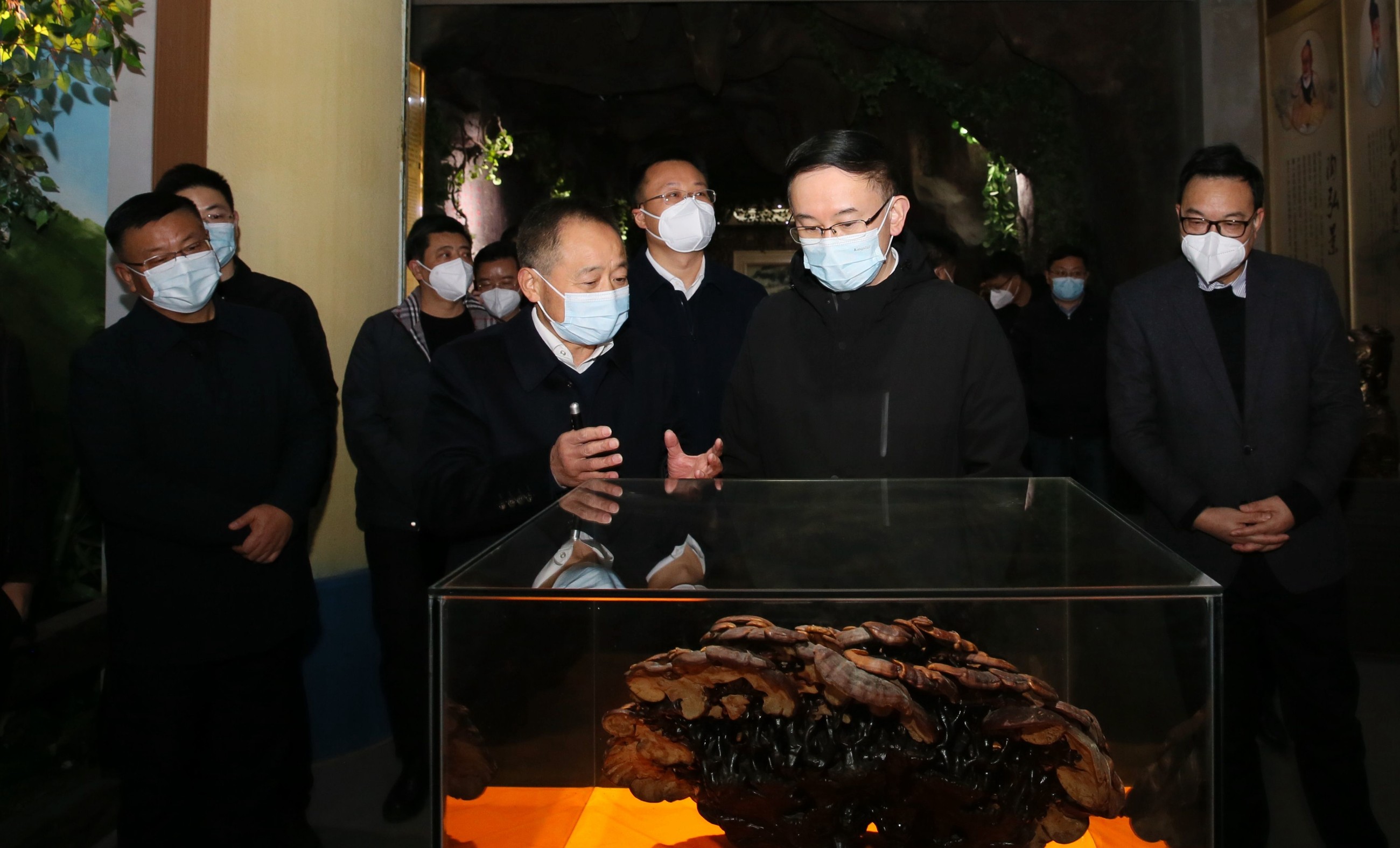 杭州亞運(yùn)會(huì)官方靈芝產(chǎn)品供應(yīng)商|杭州亞運(yùn)會(huì)官方供應(yīng)商|中國靈芝十大品牌|仙客來靈芝|仙客來靈芝破壁孢子粉|仙客來孢子油|仙客來靈芝飲片|仙客來破壁孢子粉|靈芝孢子油|孢子粉|靈芝破壁孢子粉|靈芝|中華老字號(hào)