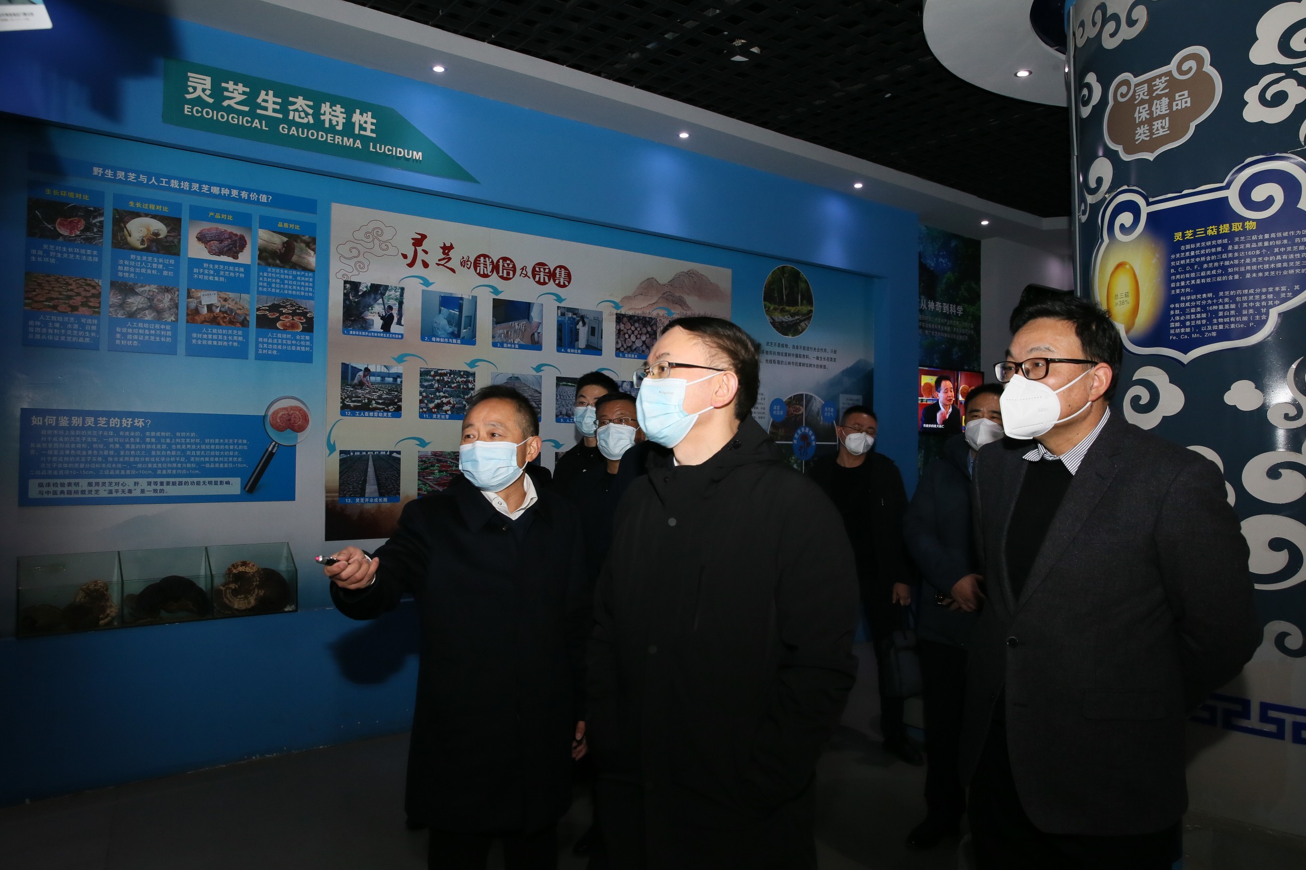 杭州亞運(yùn)會(huì)官方靈芝產(chǎn)品供應(yīng)商|杭州亞運(yùn)會(huì)官方供應(yīng)商|中國靈芝十大品牌|仙客來靈芝|仙客來靈芝破壁孢子粉|仙客來孢子油|仙客來靈芝飲片|仙客來破壁孢子粉|靈芝孢子油|孢子粉|靈芝破壁孢子粉|靈芝|中華老字號(hào)