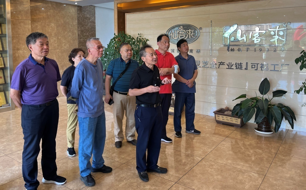 杭州亞運會官方靈芝產(chǎn)品供應(yīng)商|杭州亞運會官方供應(yīng)商|中國靈芝十大品牌|仙客來靈芝|仙客來靈芝破壁孢子粉|仙客來孢子油|仙客來靈芝飲片|仙客來破壁孢子粉|靈芝孢子油|孢子粉|靈芝破壁孢子粉|靈芝|中華老字號 杭州亞運會官方靈芝產(chǎn)品供應(yīng)商|杭州亞運會官方供應(yīng)商|中國靈芝十大品牌|仙客來靈芝|仙客來靈芝破壁孢子粉|仙客來孢子油|仙客來靈芝飲片|仙客來破壁孢子粉|靈芝孢子油|孢子粉|靈芝破壁孢子粉|靈芝|中華老字號