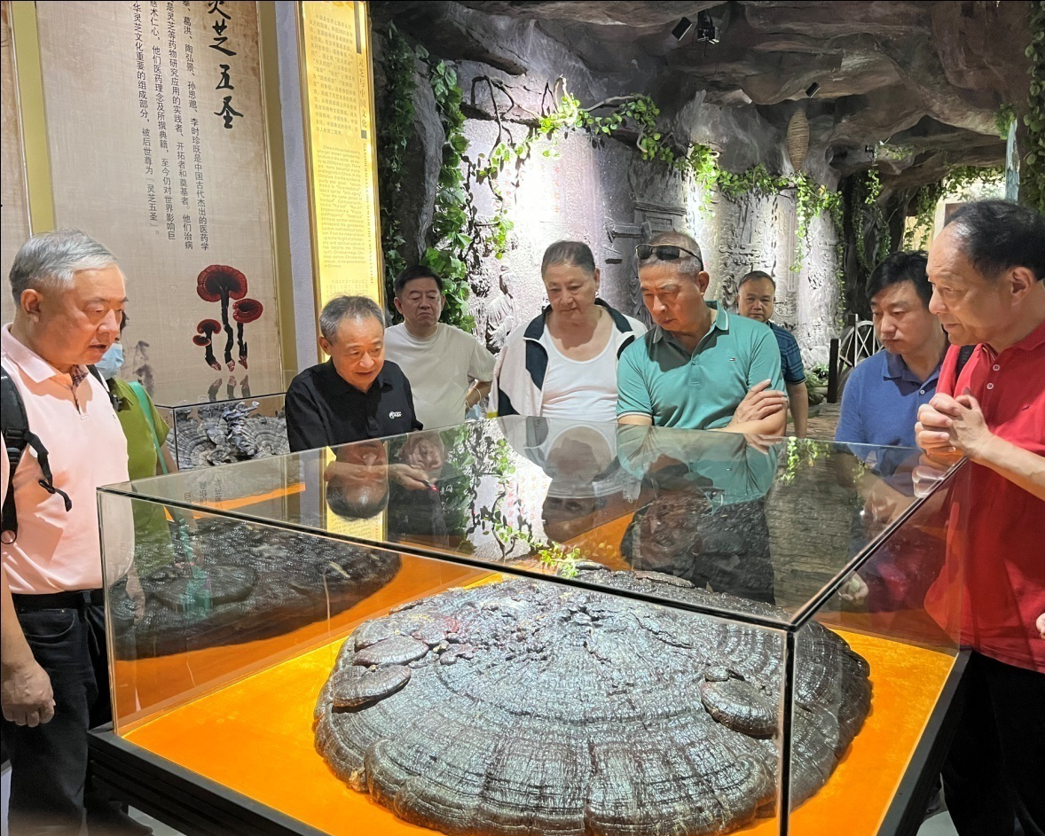 杭州亞運會官方靈芝產(chǎn)品供應(yīng)商|杭州亞運會官方供應(yīng)商|中國靈芝十大品牌|仙客來靈芝|仙客來靈芝破壁孢子粉|仙客來孢子油|仙客來靈芝飲片|仙客來破壁孢子粉|靈芝孢子油|孢子粉|靈芝破壁孢子粉|靈芝|中華老字號 杭州亞運會官方靈芝產(chǎn)品供應(yīng)商|杭州亞運會官方供應(yīng)商|中國靈芝十大品牌|仙客來靈芝|仙客來靈芝破壁孢子粉|仙客來孢子油|仙客來靈芝飲片|仙客來破壁孢子粉|靈芝孢子油|孢子粉|靈芝破壁孢子粉|靈芝|中華老字號