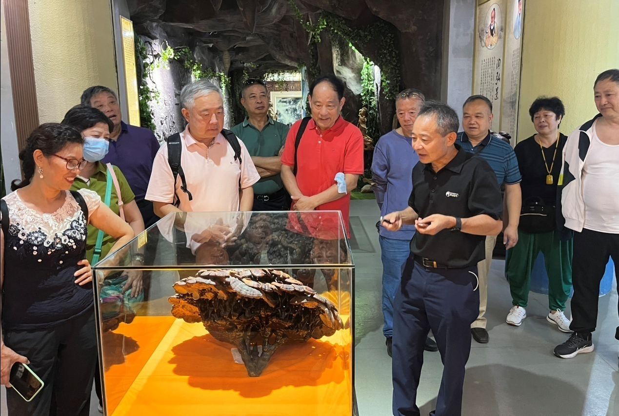 杭州亞運會官方靈芝產(chǎn)品供應(yīng)商|杭州亞運會官方供應(yīng)商|中國靈芝十大品牌|仙客來靈芝|仙客來靈芝破壁孢子粉|仙客來孢子油|仙客來靈芝飲片|仙客來破壁孢子粉|靈芝孢子油|孢子粉|靈芝破壁孢子粉|靈芝|中華老字號 杭州亞運會官方靈芝產(chǎn)品供應(yīng)商|杭州亞運會官方供應(yīng)商|中國靈芝十大品牌|仙客來靈芝|仙客來靈芝破壁孢子粉|仙客來孢子油|仙客來靈芝飲片|仙客來破壁孢子粉|靈芝孢子油|孢子粉|靈芝破壁孢子粉|靈芝|中華老字號