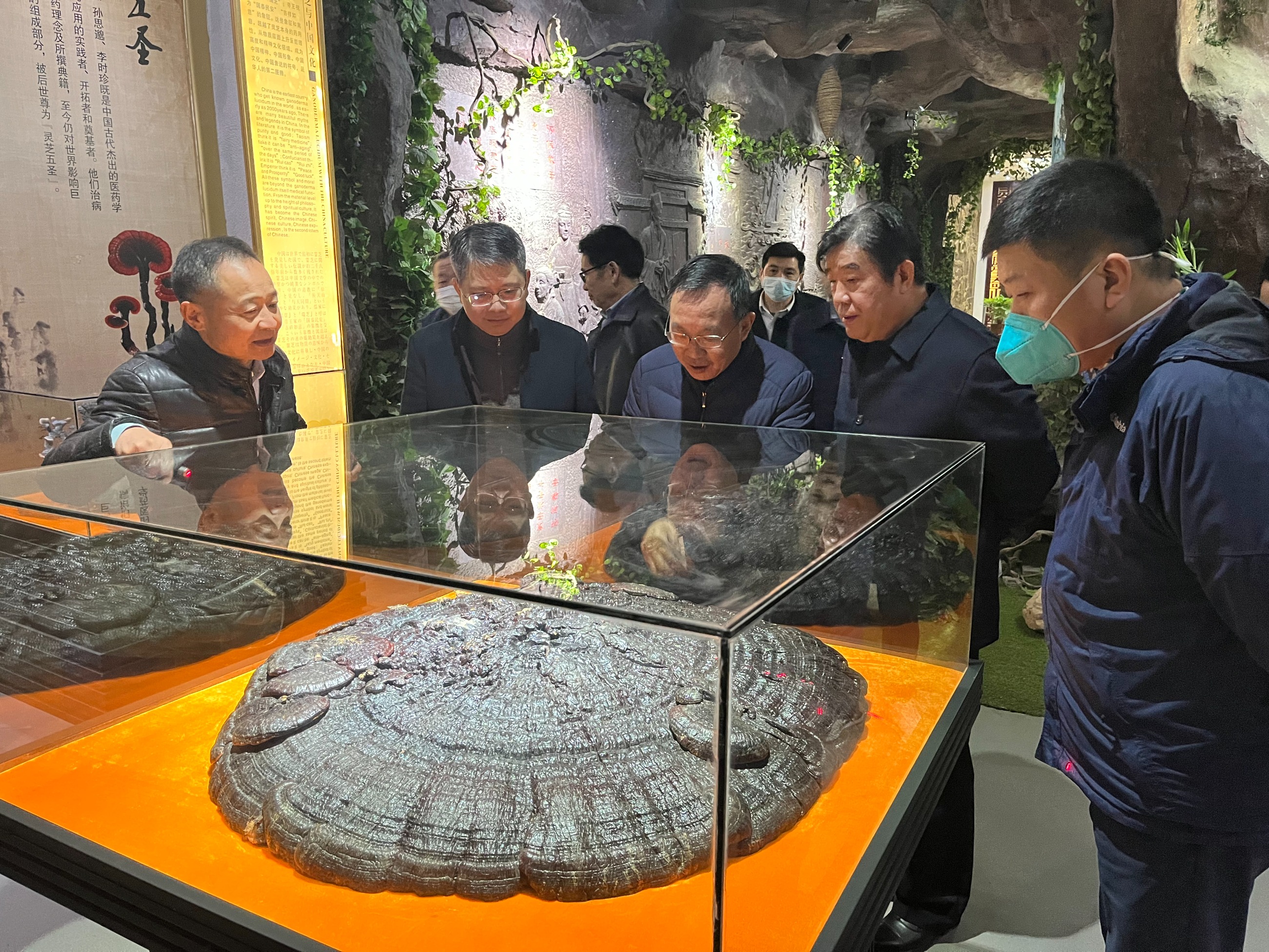 杭州亞運(yùn)會(huì)官方靈芝產(chǎn)品供應(yīng)商|杭州亞運(yùn)會(huì)官方供應(yīng)商|中國(guó)靈芝十大品牌|仙客來靈芝|仙客來靈芝破壁孢子粉|仙客來孢子油|仙客來靈芝飲片|仙客來破壁孢子粉|靈芝孢子油|孢子粉|靈芝破壁孢子粉|靈芝|中華老字號(hào)