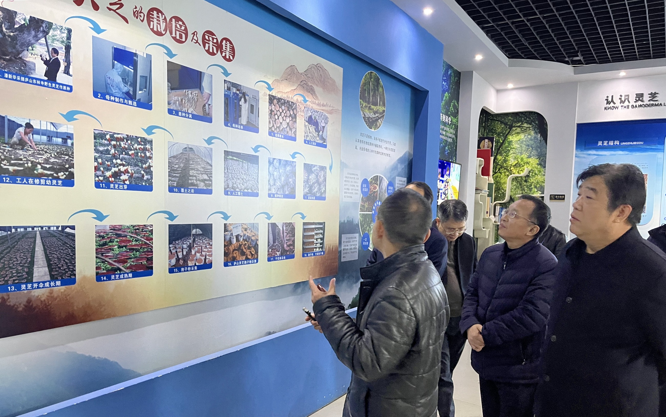 杭州亞運(yùn)會(huì)官方靈芝產(chǎn)品供應(yīng)商|杭州亞運(yùn)會(huì)官方供應(yīng)商|中國(guó)靈芝十大品牌|仙客來靈芝|仙客來靈芝破壁孢子粉|仙客來孢子油|仙客來靈芝飲片|仙客來破壁孢子粉|靈芝孢子油|孢子粉|靈芝破壁孢子粉|靈芝|中華老字號(hào)