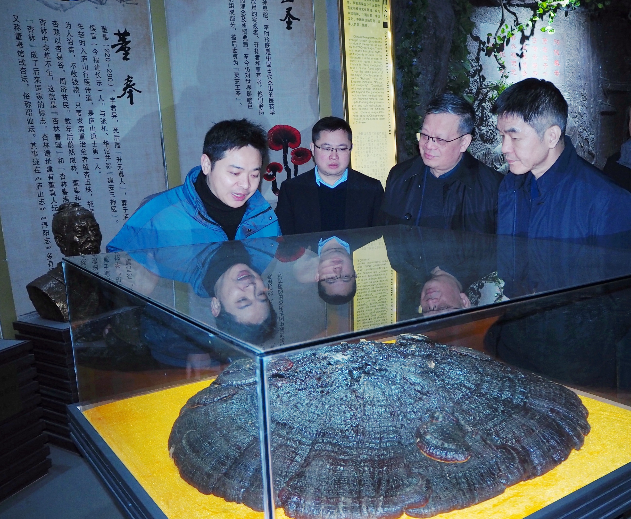 杭州亞運會官方靈芝產(chǎn)品供應(yīng)商|杭州亞運會官方供應(yīng)商|中國靈芝十大品牌|仙客來靈芝|仙客來靈芝破壁孢子粉|仙客來孢子油|仙客來靈芝飲片|仙客來破壁孢子粉|靈芝孢子油|孢子粉|靈芝破壁孢子粉|靈芝|中華老字號